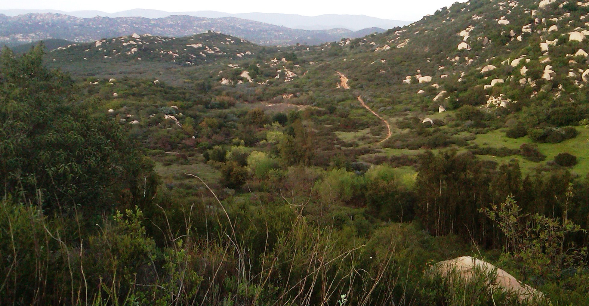 Bottle Peak Watershed